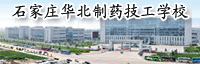 网上求职等