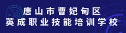 招乎app设置